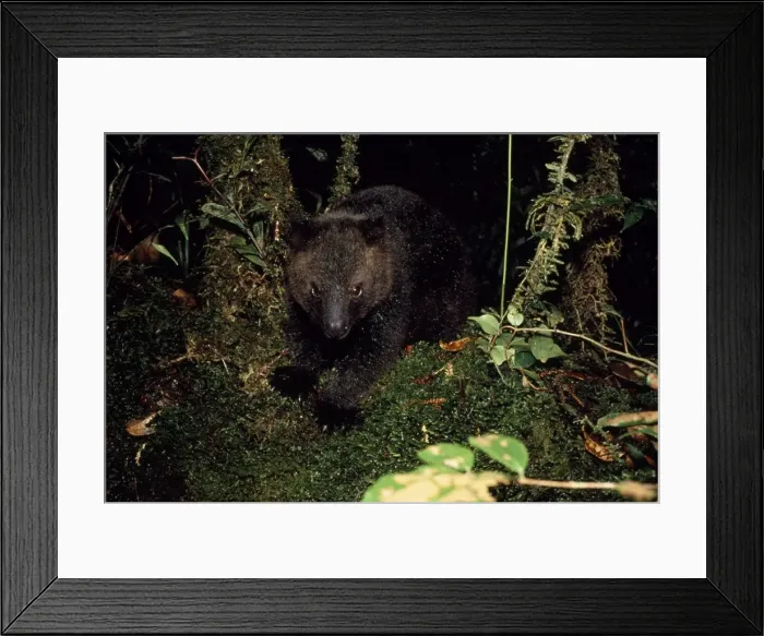 Framed Print : Picture No. 10856835