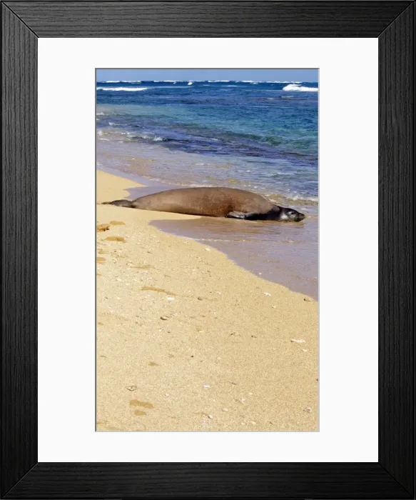 Framed Print : Picture No. 10856897 Framed Print : Picture No. 10856897