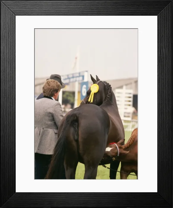 Framed Print : Picture No. 10857067 Framed Print : Picture No. 10857067