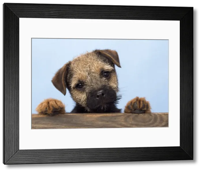 Framed Print : Picture No. 10857072 Framed Print : Picture No. 10857072