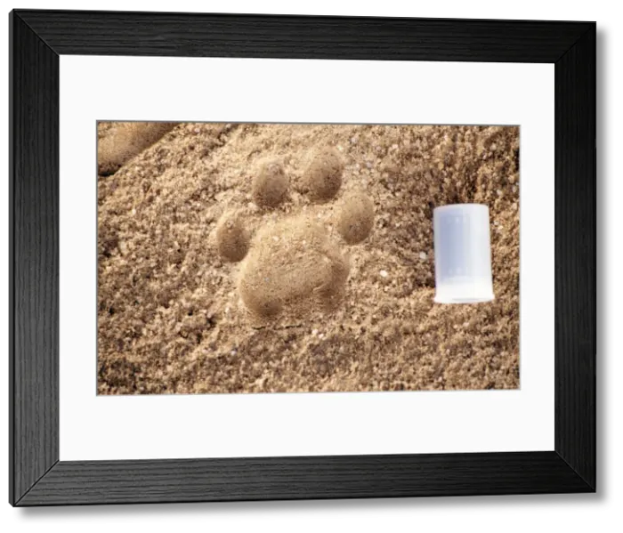 Framed Print : Picture No. 10857077 Framed Print : Picture No. 10857077
