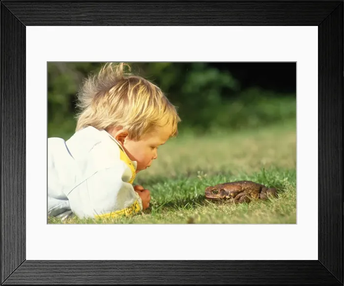 Framed Print : Picture No. 10857201 Framed Print : Picture No. 10857201