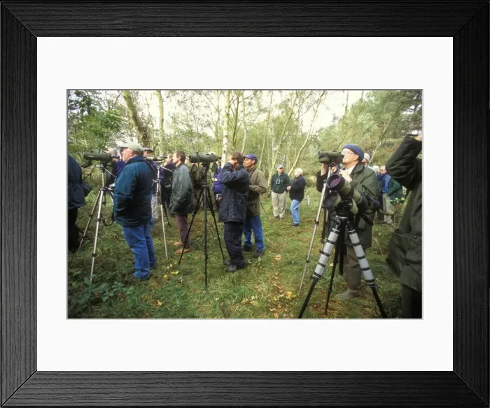 Framed Print : Picture No. 10857208 Framed Print : Picture No. 10857208