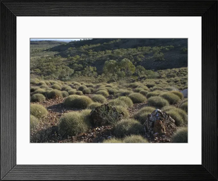 Framed Print : Picture No. 10858183 Framed Print : Picture No. 10858183