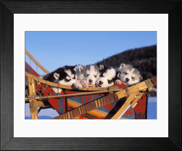 Framed Print : Picture No. 10858444 Framed Print : Picture No. 10858444