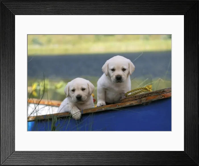 Framed Print : Picture No. 10858473 Framed Print : Picture No. 10858473