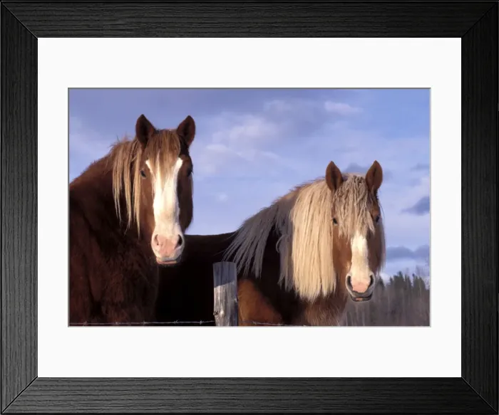 Framed Print : Picture No. 10859005 Framed Print : Picture No. 10859005