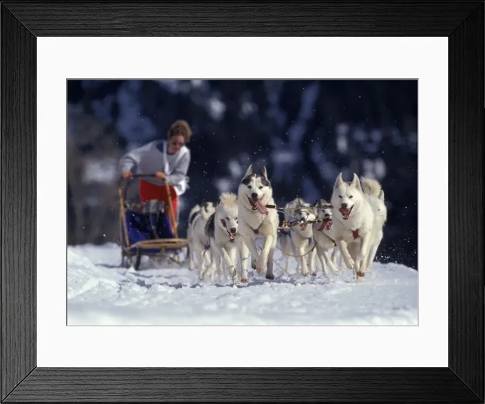 Framed Print : Picture No. 10859016 Framed Print : Picture No. 10859016