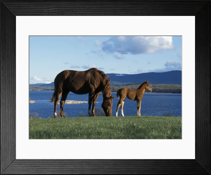 Framed Print : Picture No. 10859036 Framed Print : Picture No. 10859036