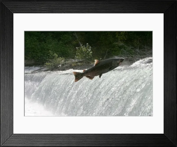 Framed Print : Picture No. 10859048 Framed Print : Picture No. 10859048