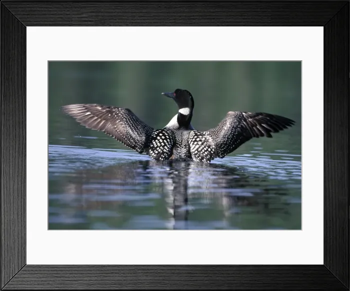 Framed Print : Picture No. 10859062 Framed Print : Picture No. 10859062