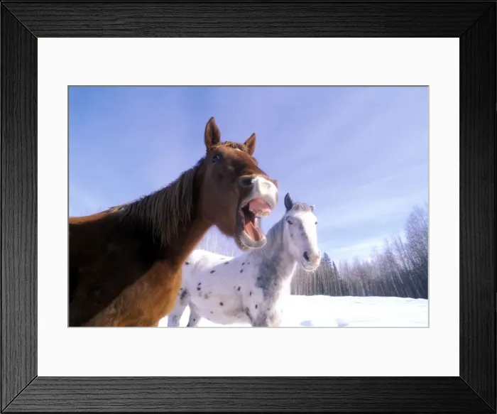 Framed Print : Picture No. 10859063 Framed Print : Picture No. 10859063