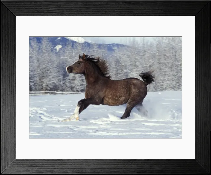 Framed Print : Picture No. 10859075 Framed Print : Picture No. 10859075