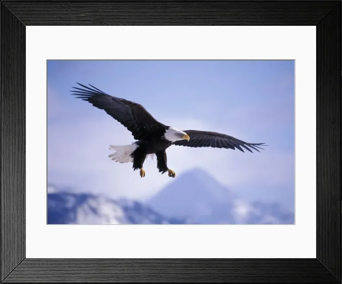 Framed Print : Picture No. 10859072 Framed Print : Picture No. 10859072