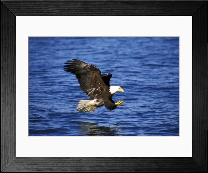 Framed Print : Picture No. 10859078 Framed Print : Picture No. 10859078