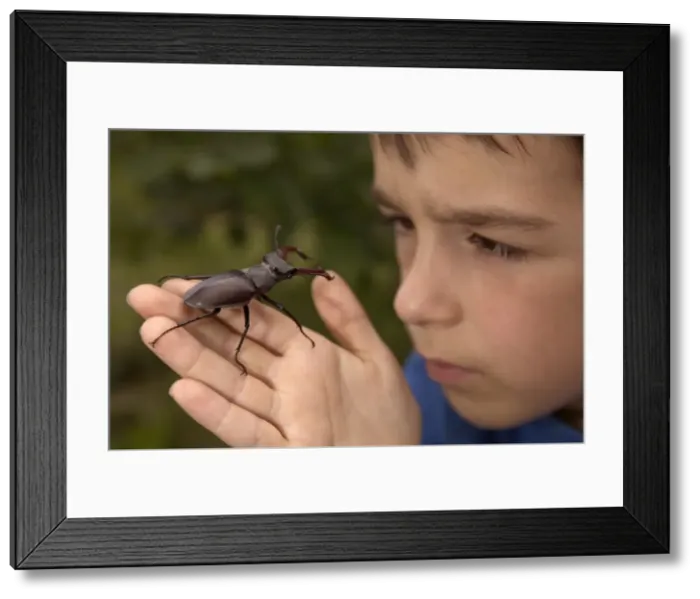 Framed Print : Picture No. 10859158 Framed Print : Picture No. 10859158