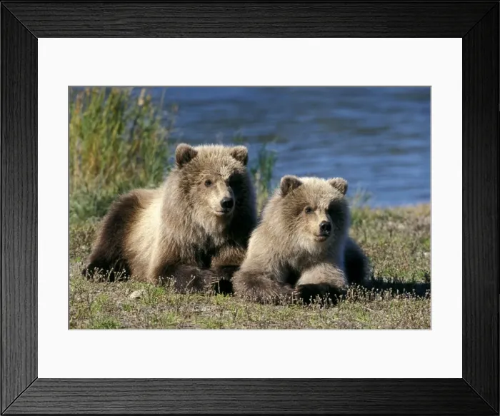 Framed Print : Picture No. 10859196 Framed Print : Picture No. 10859196