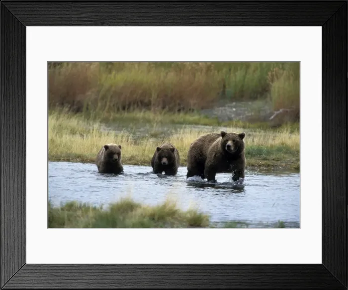 Framed Print : Picture No. 10859210 Framed Print : Picture No. 10859210