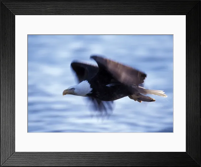 Framed Print : Picture No. 10859222 Framed Print : Picture No. 10859222