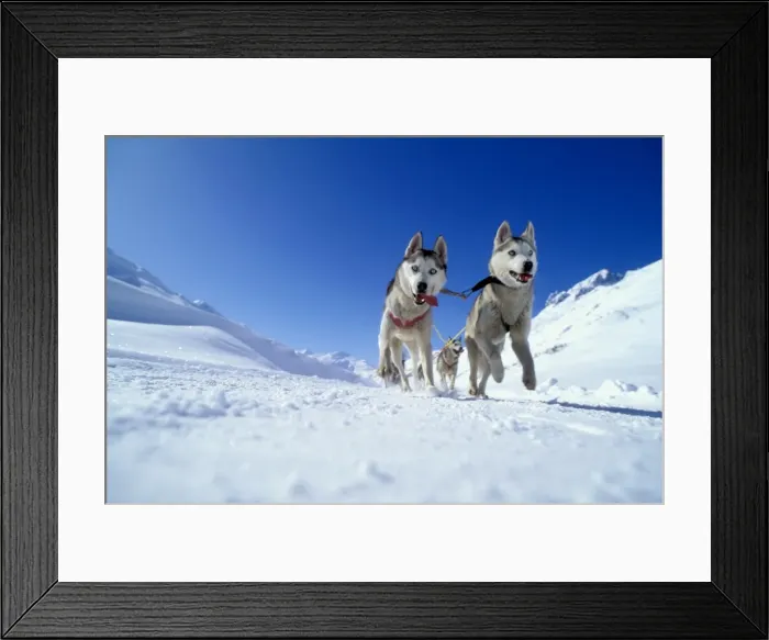 Framed Print : Picture No. 10859226 Framed Print : Picture No. 10859226