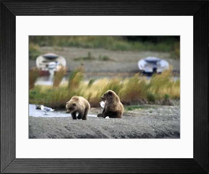 Framed Print : Picture No. 10859228