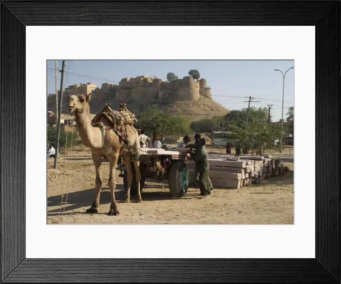 Framed Print : Picture No. 10859539 Framed Print : Picture No. 10859539