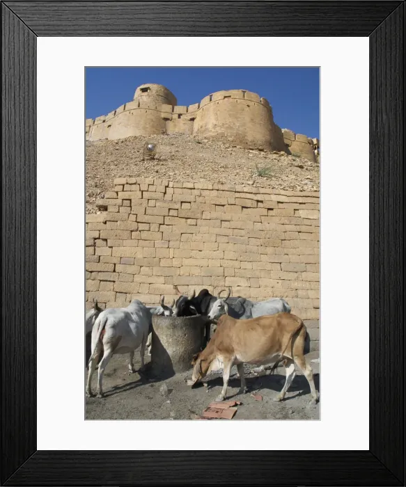 Framed Print : Picture No. 10859570 Framed Print : Picture No. 10859570
