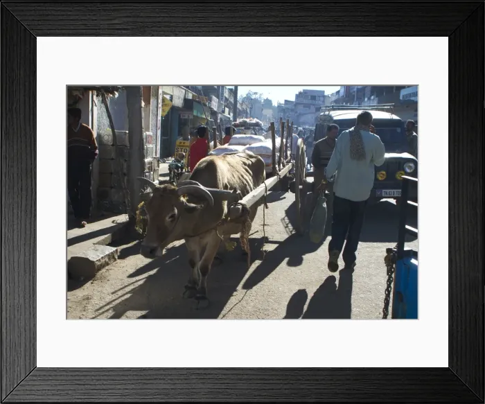 Framed Print : Picture No. 10859568 Framed Print : Picture No. 10859568