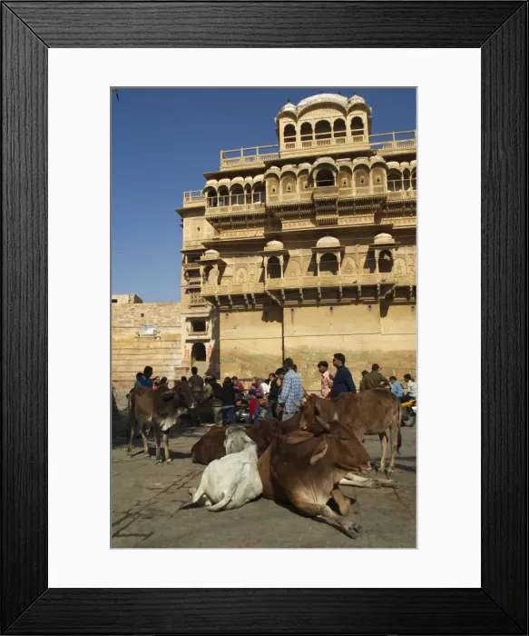 Framed Print : Picture No. 10859571 Framed Print : Picture No. 10859571
