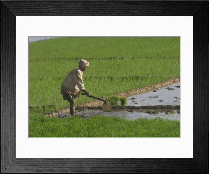Framed Print : Picture No. 10859597 Framed Print : Picture No. 10859597