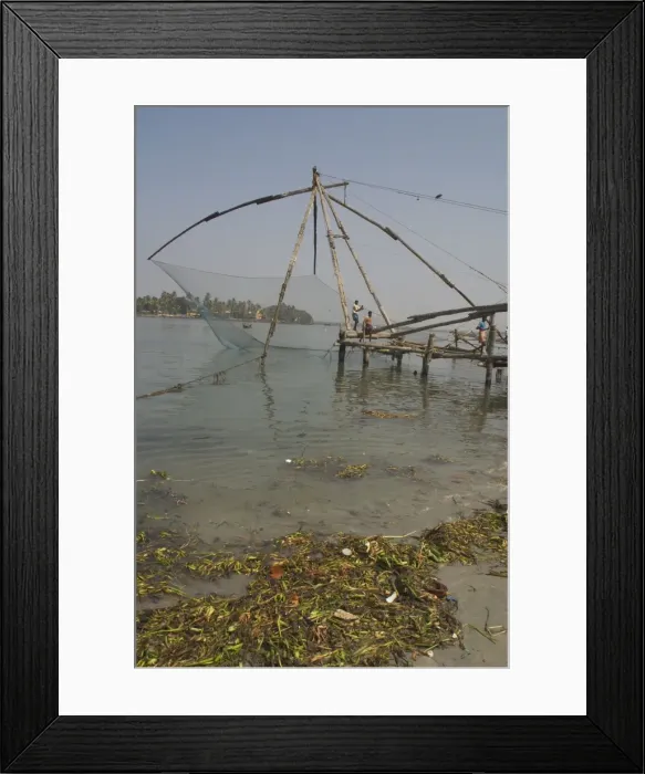 Framed Print : Picture No. 10859588 Framed Print : Picture No. 10859588
