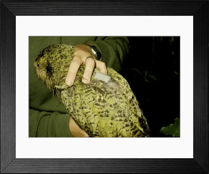 Framed Print : Picture No. 10859663 Framed Print : Picture No. 10859663