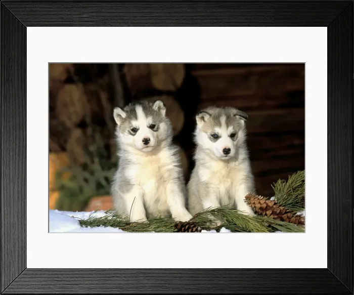 Framed Print : Picture No. 10859668 Framed Print : Picture No. 10859668