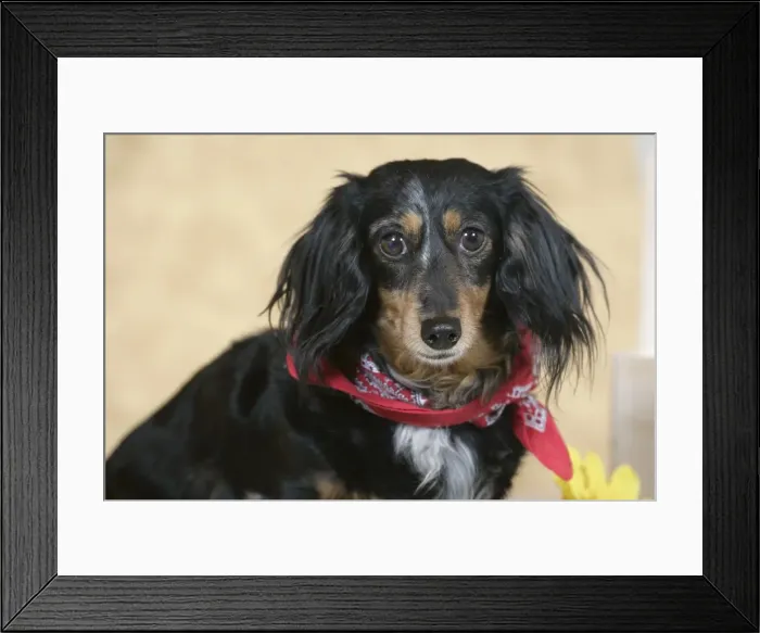 Framed Print : Picture No. 10859732 Framed Print : Picture No. 10859732