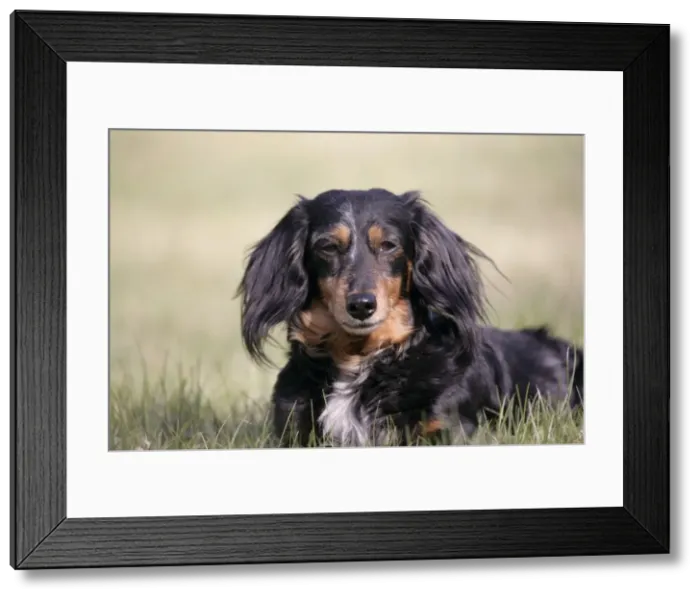Framed Print : Picture No. 10859731 Framed Print : Picture No. 10859731