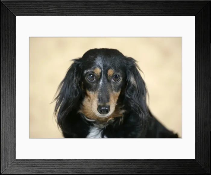 Framed Print : Picture No. 10859734 Framed Print : Picture No. 10859734