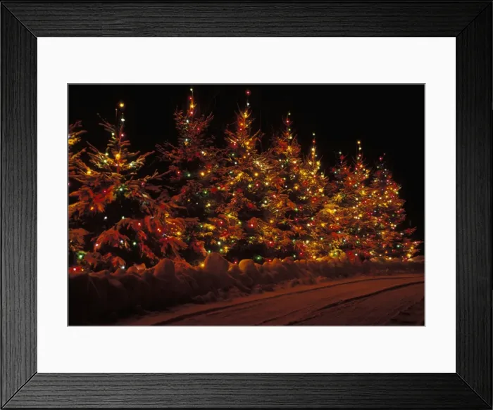 Framed Print : Picture No. 10859759 Framed Print : Picture No. 10859759