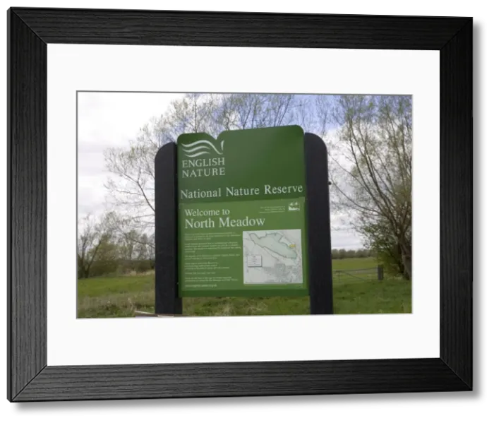 Framed Print : Picture No. 10859856 Framed Print : Picture No. 10859856