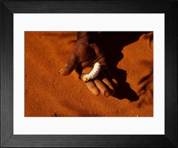 Framed Print : Picture No. 10859981 Framed Print : Picture No. 10859981