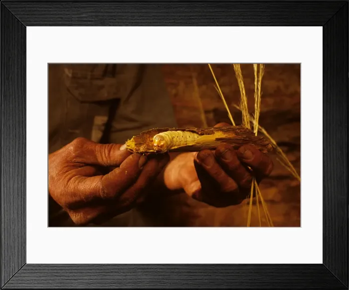 Framed Print : Picture No. 10859988 Framed Print : Picture No. 10859988