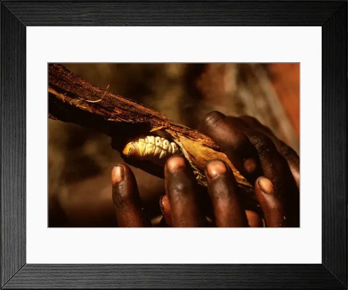 Framed Print : Picture No. 10859990 Framed Print : Picture No. 10859990