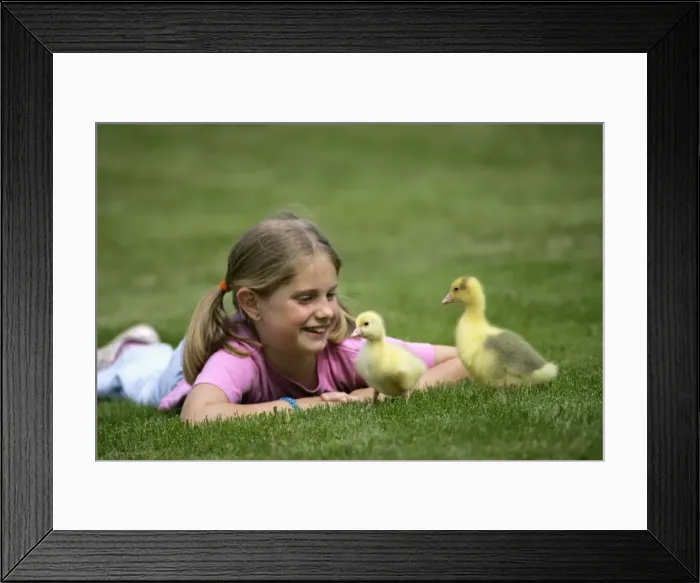 Framed Print : Picture No. 10860032 Framed Print : Picture No. 10860032