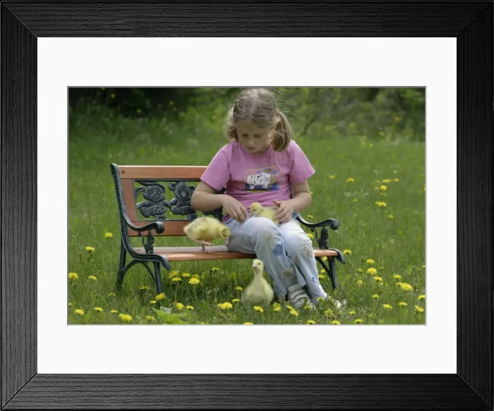 Framed Print : Picture No. 10860030 Framed Print : Picture No. 10860030