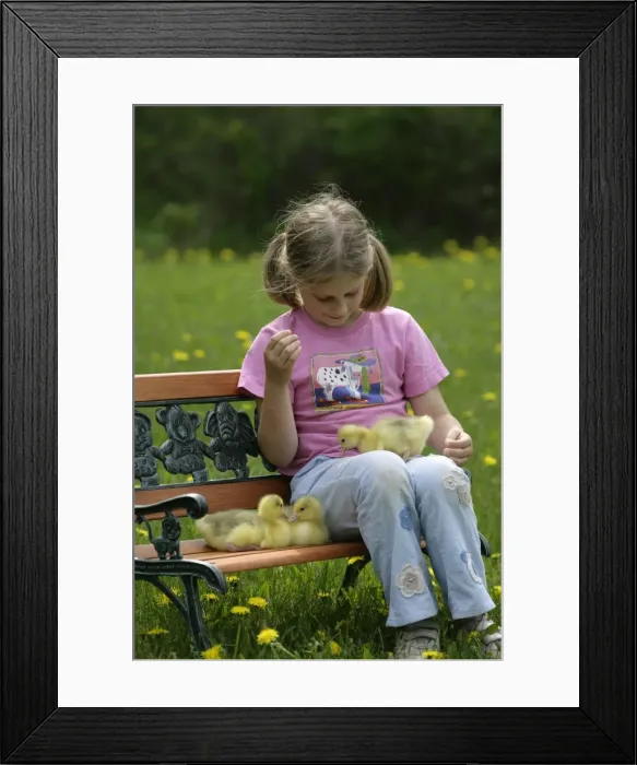Framed Print : Picture No. 10860029 Framed Print : Picture No. 10860029