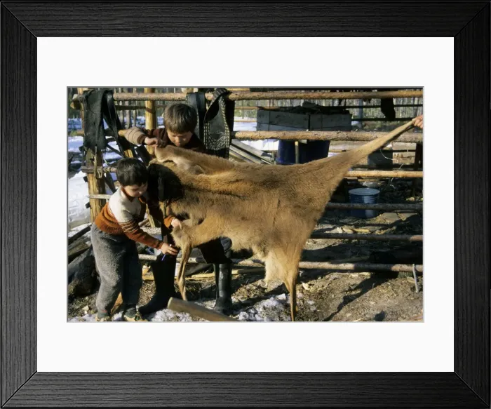 Framed Print : Picture No. 10860110 Framed Print : Picture No. 10860110