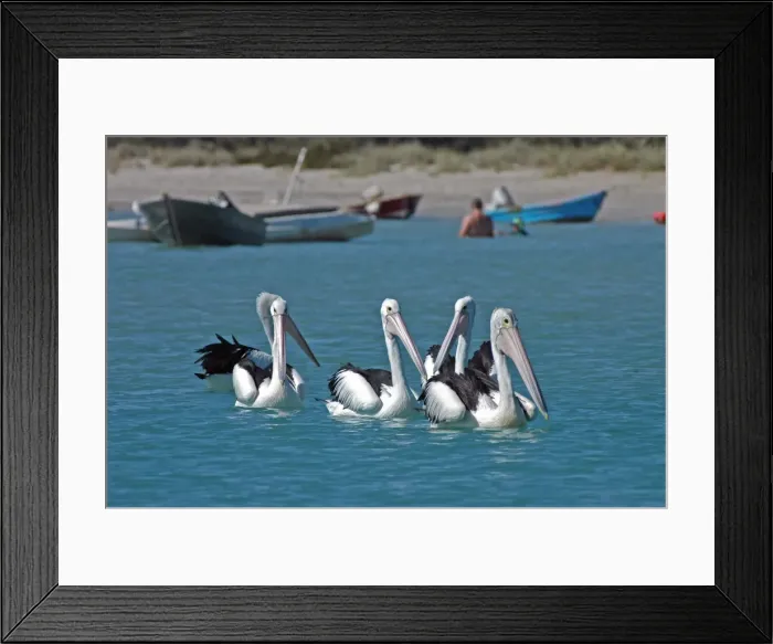 Framed Print : Picture No. 10860147 Framed Print : Picture No. 10860147