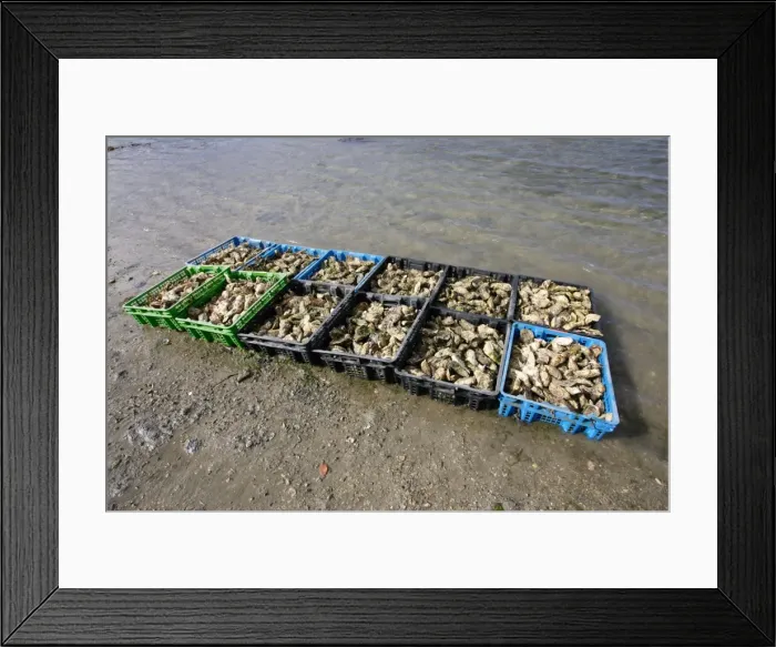 Framed Print : Picture No. 10860266 Framed Print : Picture No. 10860266