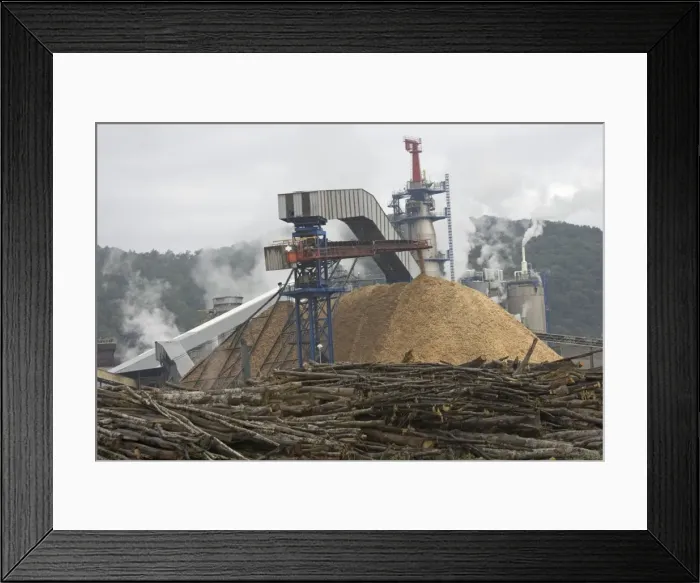 Framed Print : Picture No. 10860296 Framed Print : Picture No. 10860296