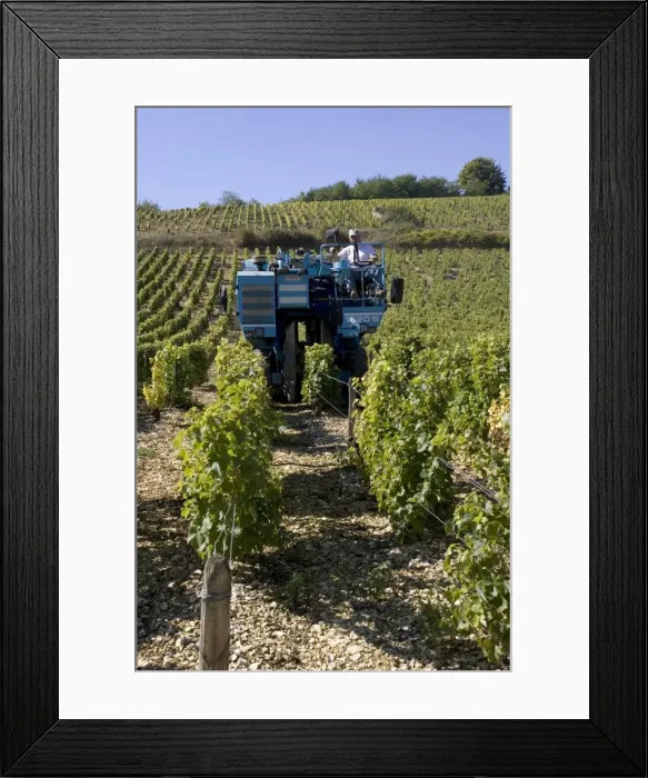 Framed Print : Picture No. 10860288 Framed Print : Picture No. 10860288