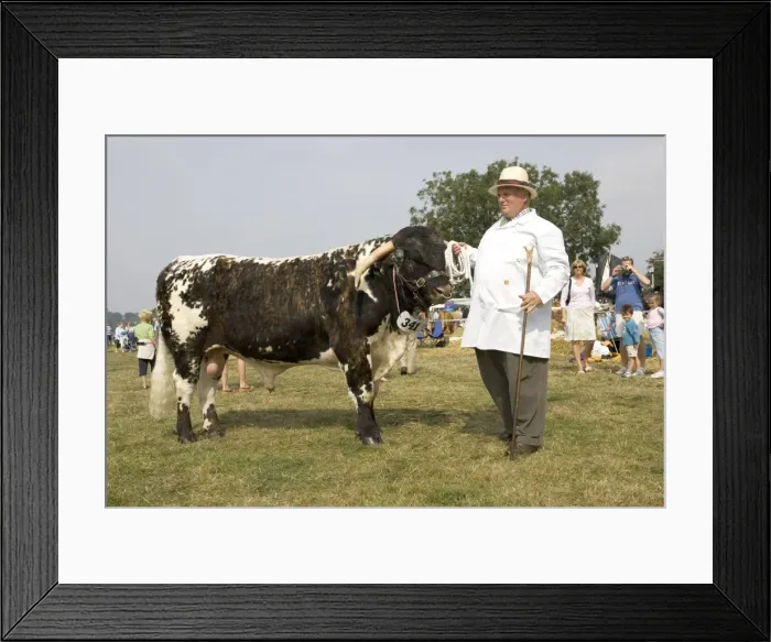 Framed Print : Picture No. 10860289 Framed Print : Picture No. 10860289